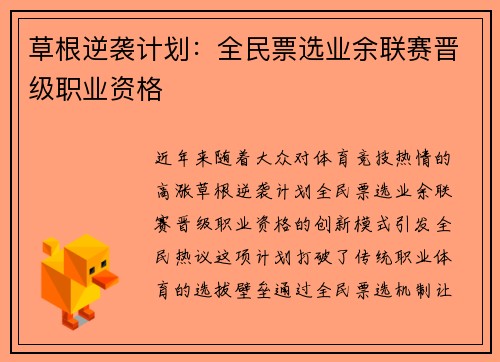 草根逆袭计划：全民票选业余联赛晋级职业资格